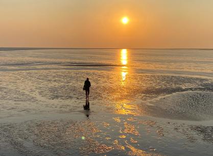 Lauwerszee wadlopen zonsondergang.jpg