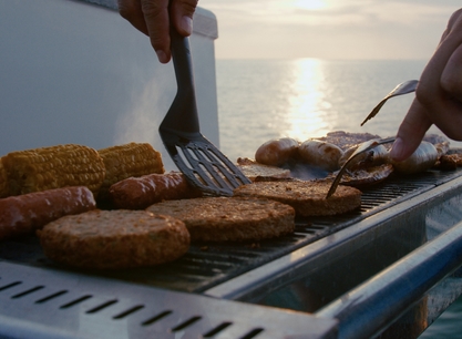 Lauwerszee bbq 1.jpg