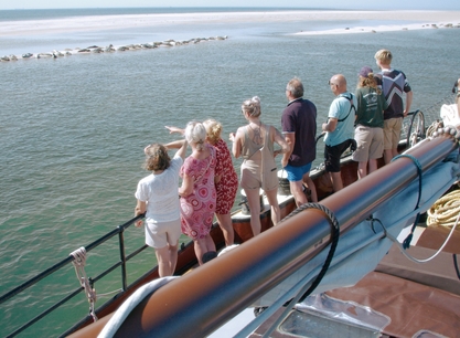 Lauwerszee zeehondjes kijken.jpg