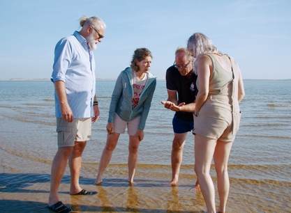 Storebaelt droogvallen de schipper laat zien.jpg