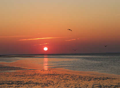 Storebaelt zonsondergang droogvallen.JPG