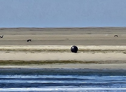 Avontuur zandbank.jpg