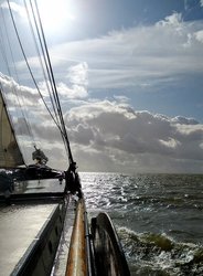 Foto van DIRK VANHOEFEN
