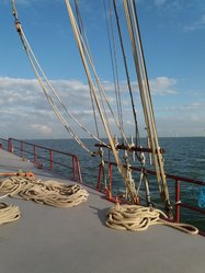 Foto van Dagmar Hinzpeter