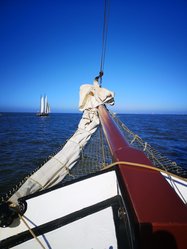 Foto van Thomas