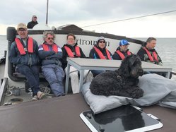 Foto van Arie den Hoed