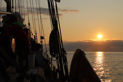 Foto van Aurora