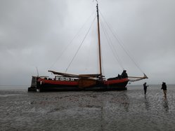 Foto van Stefanie Herrmann 