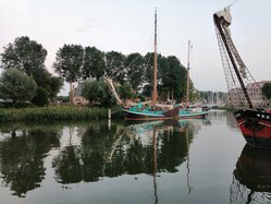 Foto van Doris