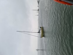 Foto van Niels Martin 