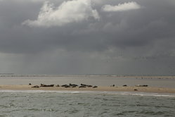 Foto van Lars