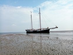 Foto van Marly Hoogendoorn