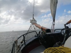 Foto van Lisa