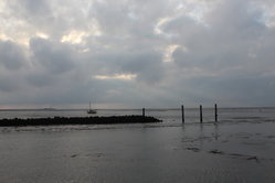 Foto van Carool van Kesteren