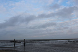 Foto van Carool van Kesteren