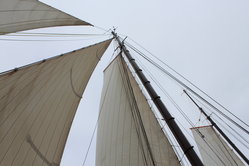 Foto van Carool van Kesteren