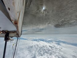 Foto van Bernards 