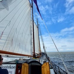 Foto van Irene Niessink