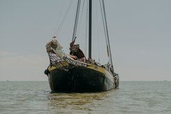 Foto van Schebek