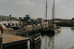 Foto van Schebek