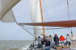 Foto van Krissy Brouwers