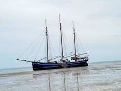 Foto van Steffi