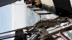Foto van Andrea Sternberg 