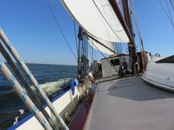 Foto van Michael