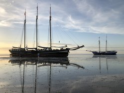 Foto van Michaela Dirks