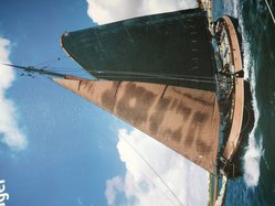 Foto van Sarah Ludwig