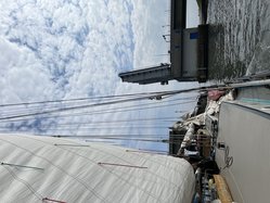 Foto van S