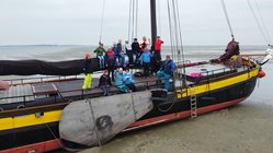 Foto van Roy Schultheiß