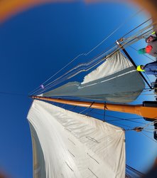 Foto van Fernando