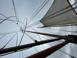 Foto van David 