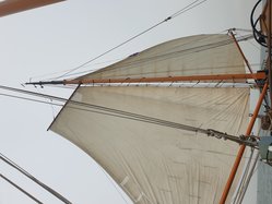 Foto van Inga