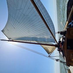 Foto van Sabine Tille