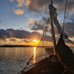Foto van Sabine Tille