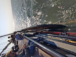 Foto van Andrea Breitenbach