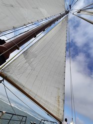 Foto van Fuchs Manuela 