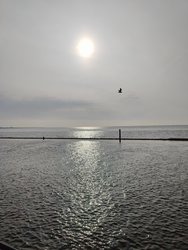 Foto van Fuchs Manuela 