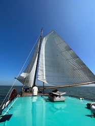 Foto van LAUREYS Patrick
