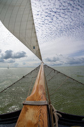 Foto van Dieter Hollinde