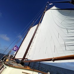 Foto van Ute Eißler 