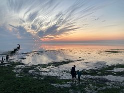 Foto van Gerrie Buijze
