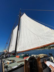 Foto van Haas Wilhelm