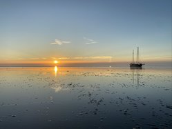 Foto van Axel Meyer