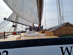 Foto van Corne