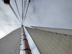 Foto van Hensellek Heike