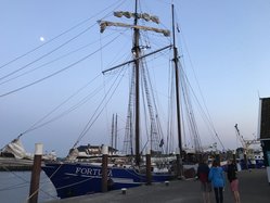 Foto van Almut