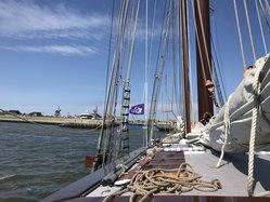 Foto van Almut